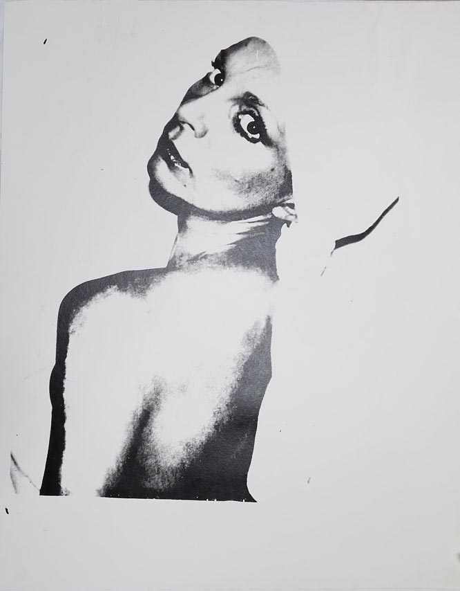 Andy Warhol Portrait of Marie-Laure Zoppas Gardoni